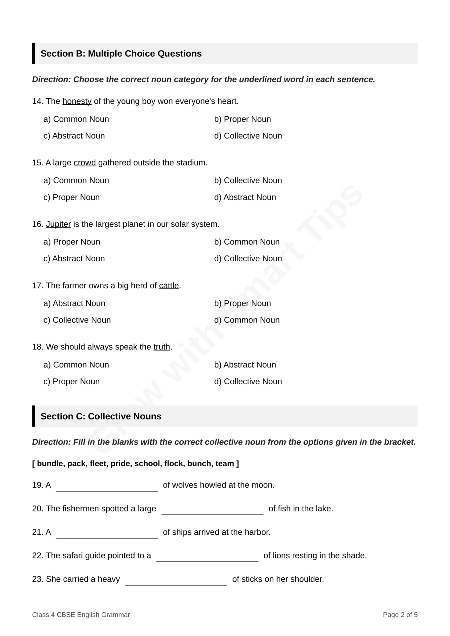 worksheet_1_nouns_CBSE_2