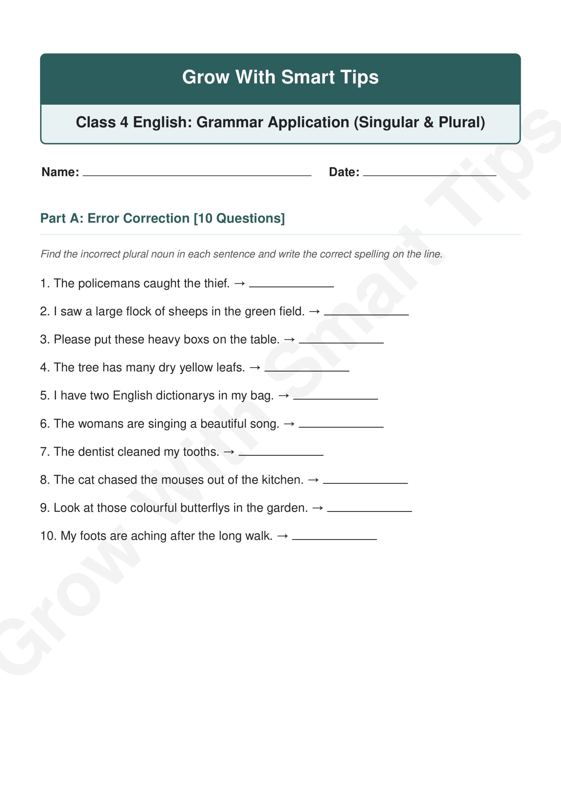 Grow With Smart Tips Class Grammar Application Singular Plural worksheets