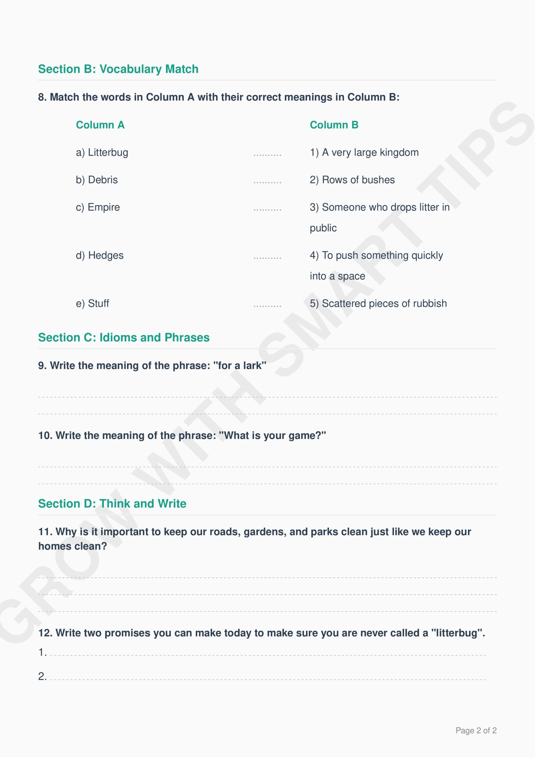 The Litterbug Worksheet images